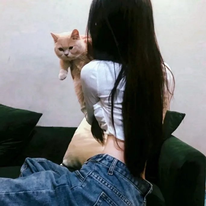 风临樱花开
